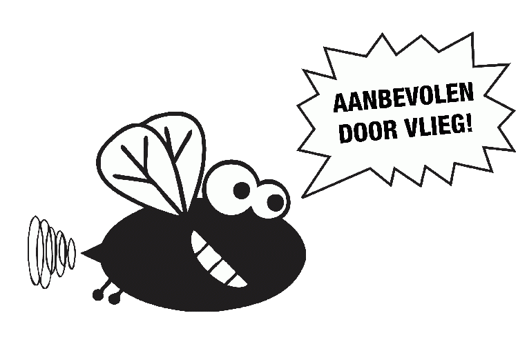 logo Vlieg